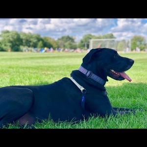 Meet your Posher, Vicvicki